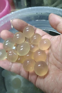 開発技研　アルギン酸カプセル