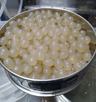 開発技研 アルギン酸カプセル高速製造機MG-2 大カプセル_1