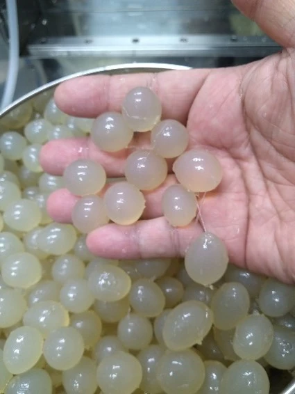 開発技研 アルギン酸カプセル高速製造機MG-2 大カプセル_2